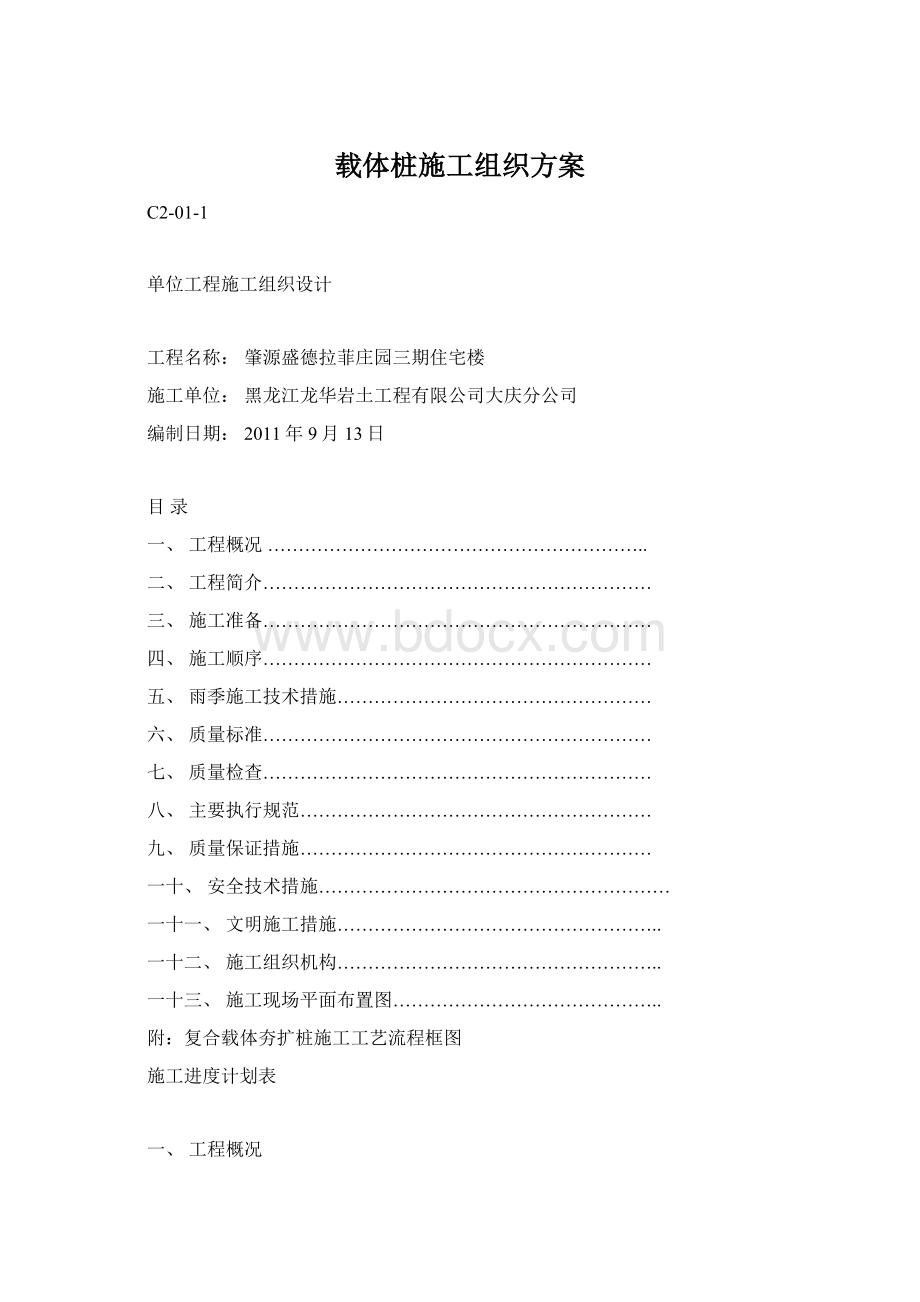 载体桩施工组织方案.docx_第1页