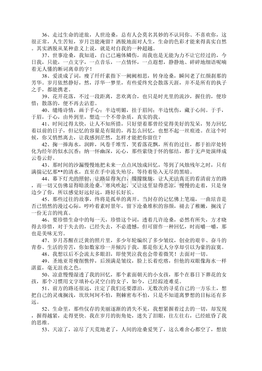 关于沧桑的句子.docx_第3页