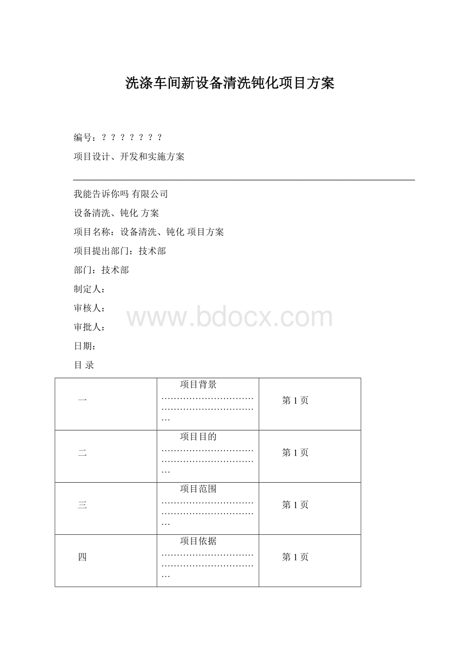 洗涤车间新设备清洗钝化项目方案文档格式.docx_第1页