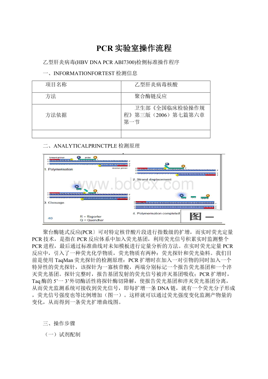 PCR实验室操作流程.docx