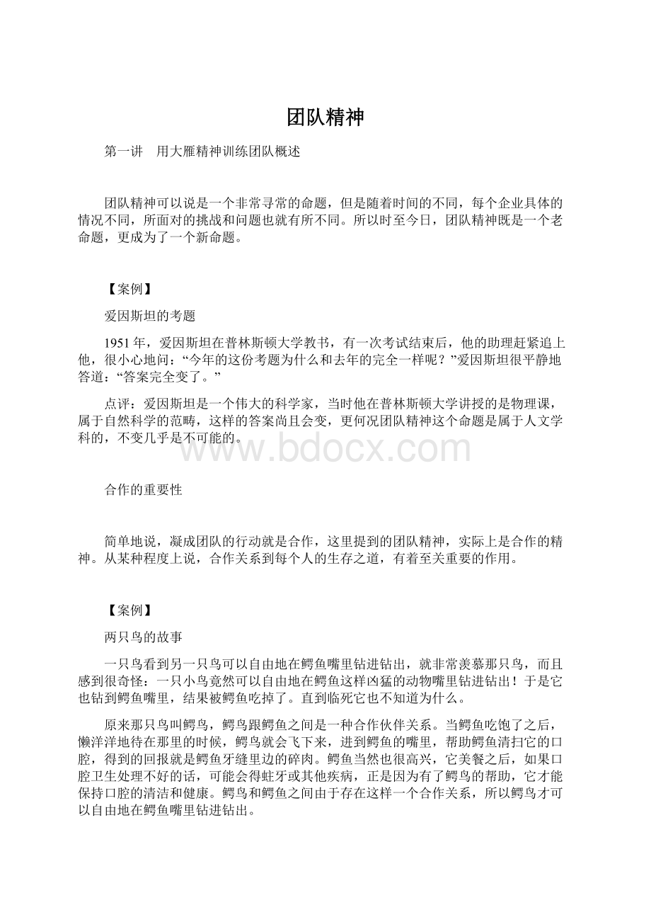 团队精神文档格式.docx