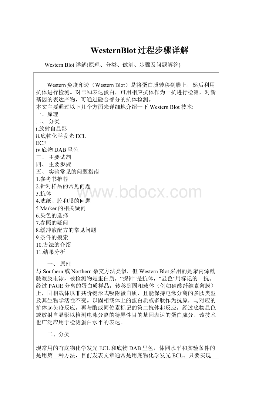 WesternBlot过程步骤详解Word下载.docx_第1页