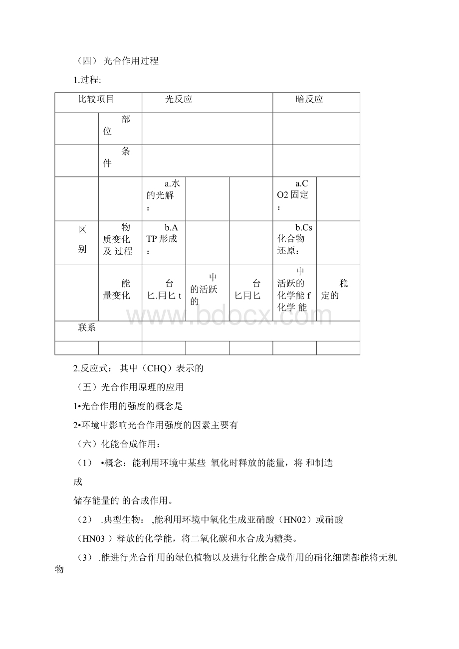 光反应暗反应光合作用Word文档下载推荐.docx_第2页