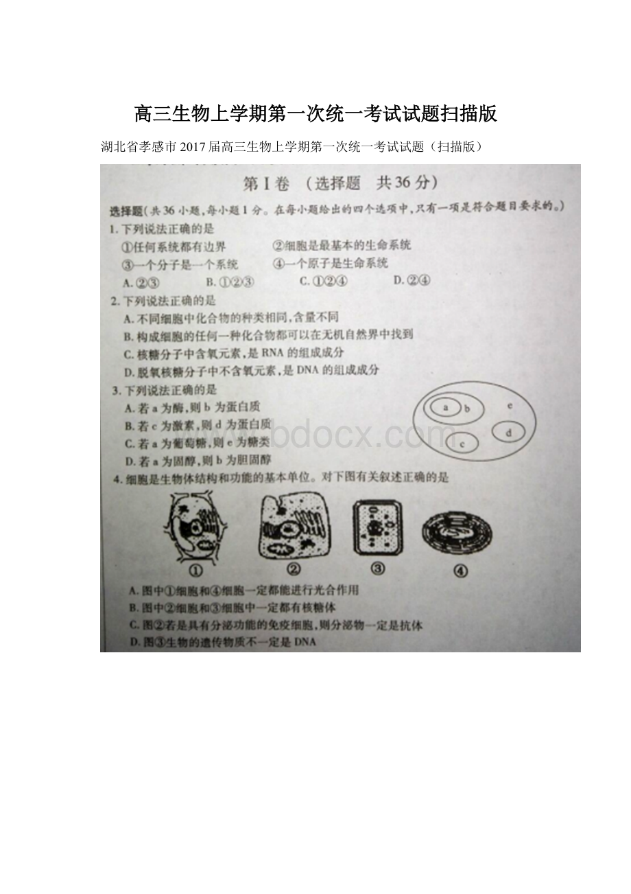 高三生物上学期第一次统一考试试题扫描版.docx_第1页