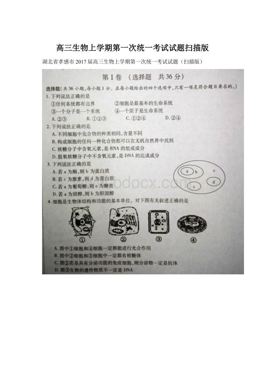 高三生物上学期第一次统一考试试题扫描版.docx