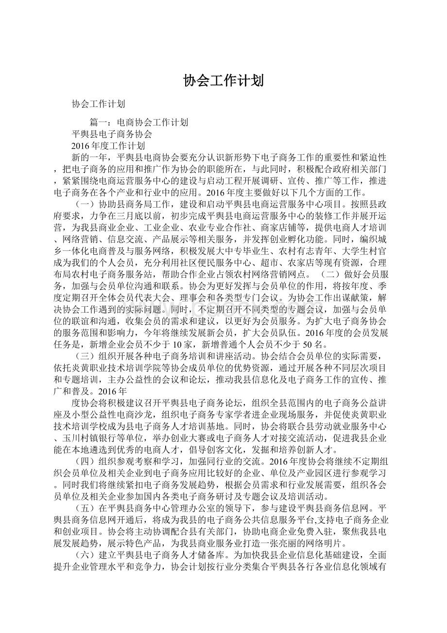 协会工作计划.docx