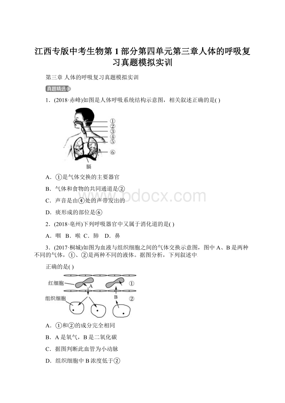 江西专版中考生物第1部分第四单元第三章人体的呼吸复习真题模拟实训Word格式文档下载.docx