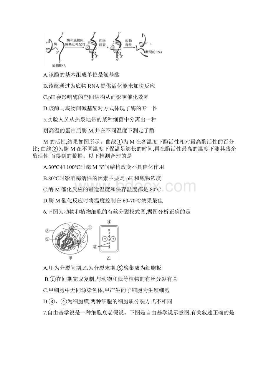 湖南省湖南师大附中届高三生物第二次月考试题.docx_第2页