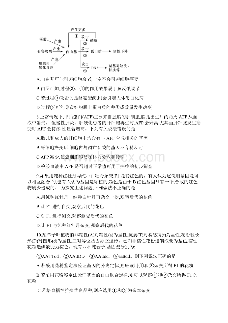 湖南省湖南师大附中届高三生物第二次月考试题.docx_第3页