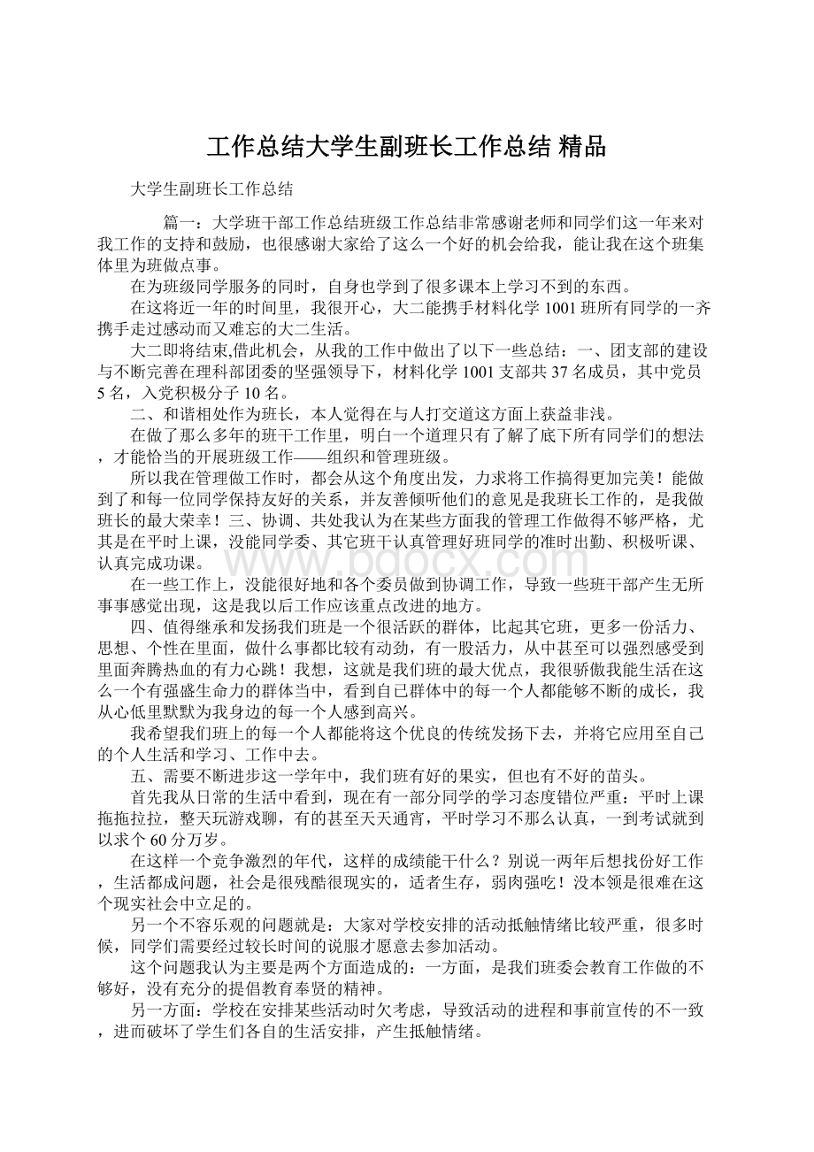 工作总结大学生副班长工作总结 精品Word格式.docx