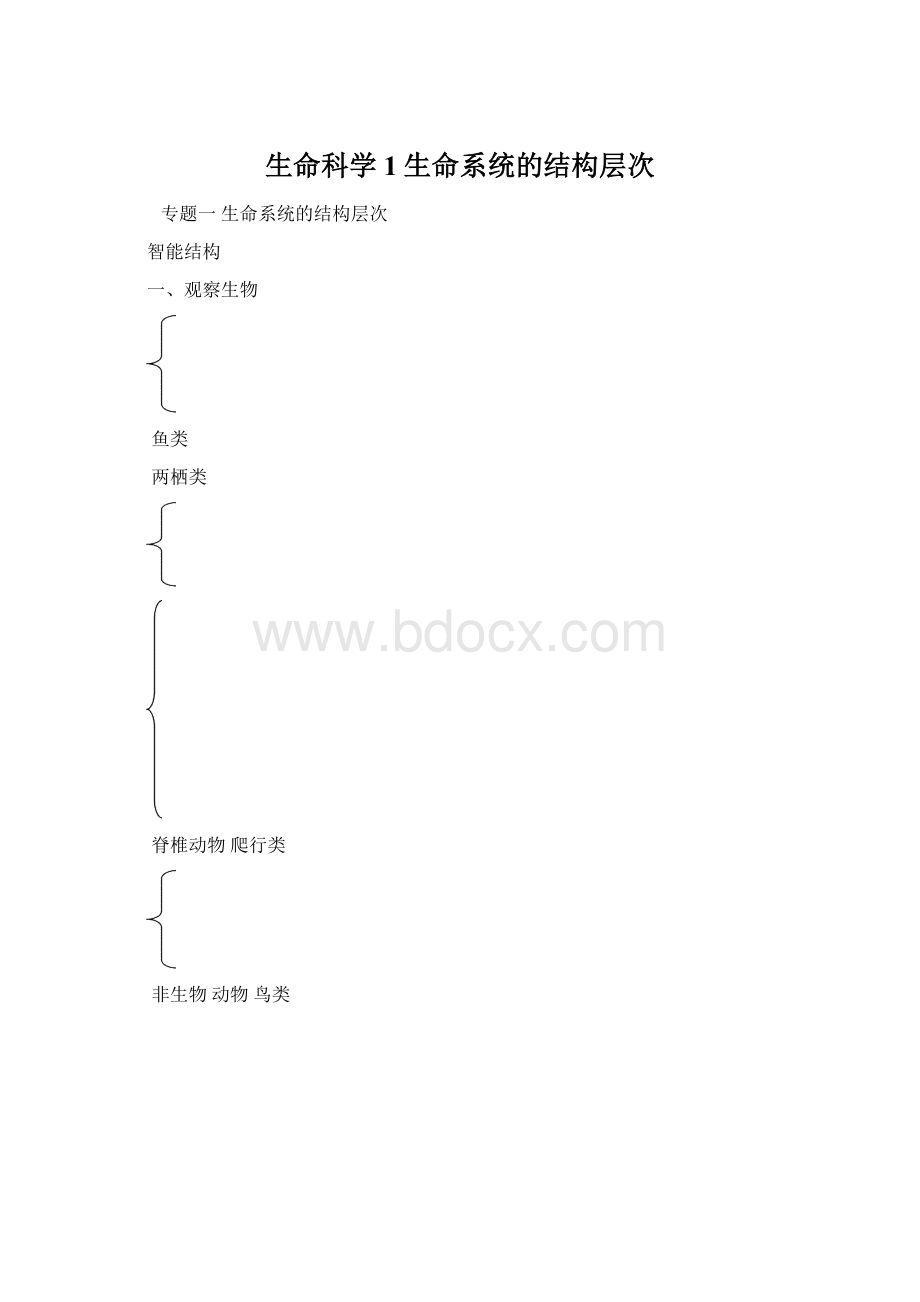 生命科学1生命系统的结构层次.docx