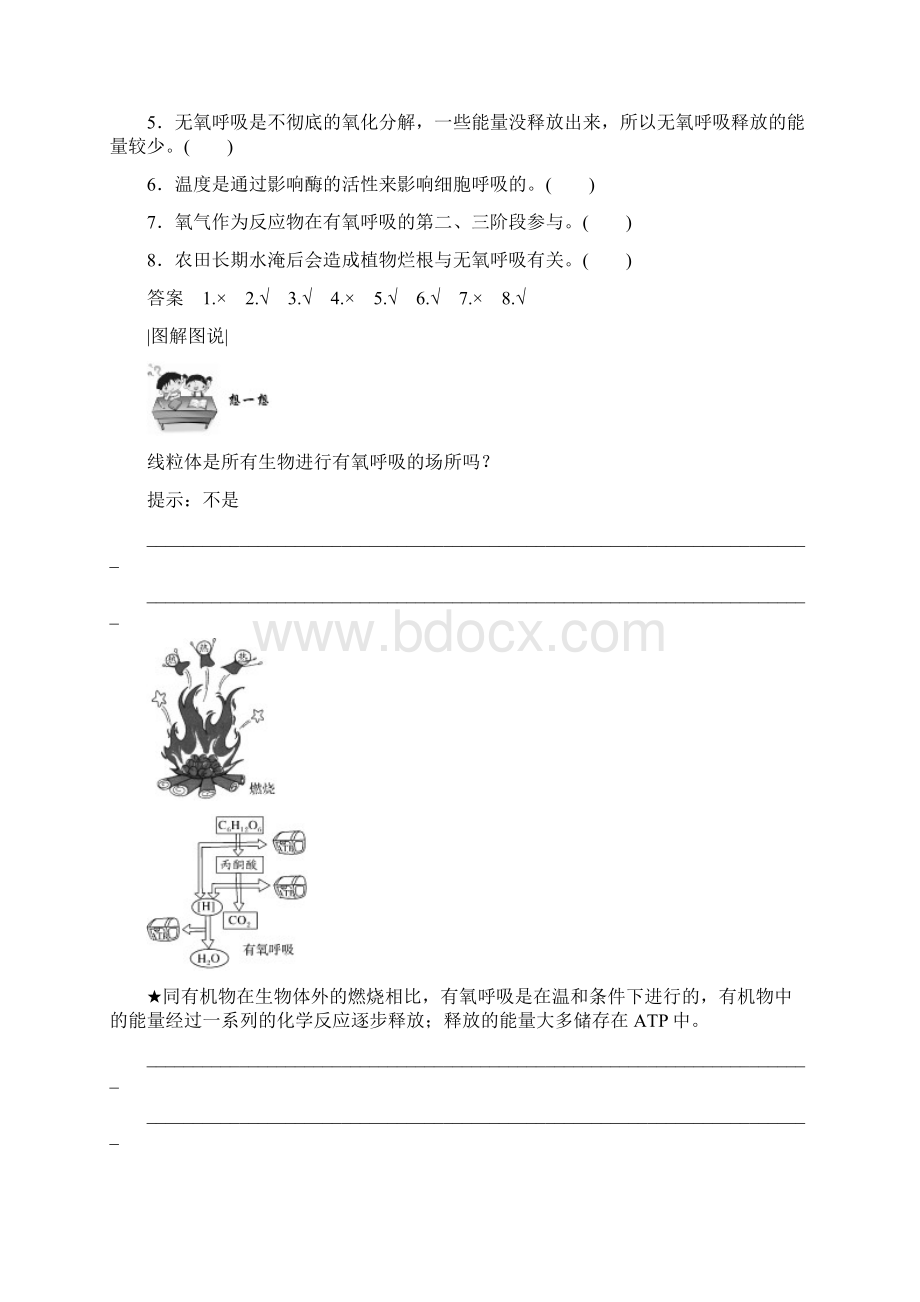 人教版高中生物必修一学案532 细胞呼吸的原理和应用含答案.docx_第3页