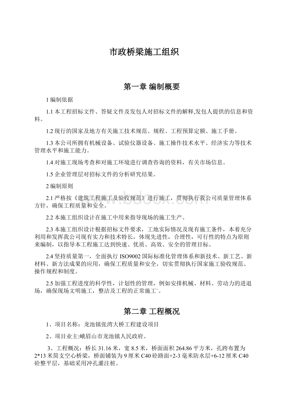 市政桥梁施工组织.docx