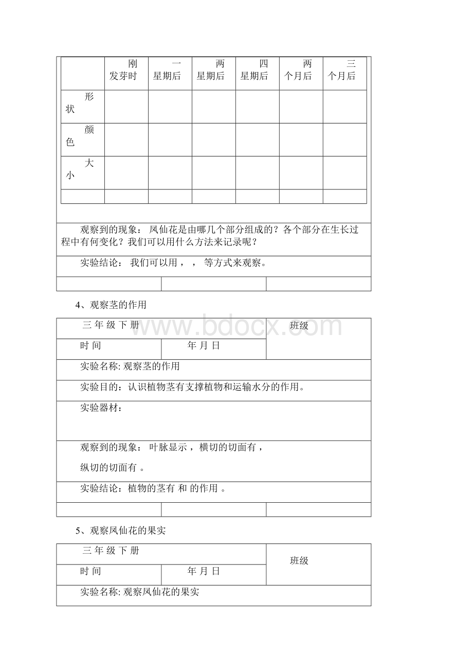 教科版小学三年级下册科学实验记录单.docx_第2页