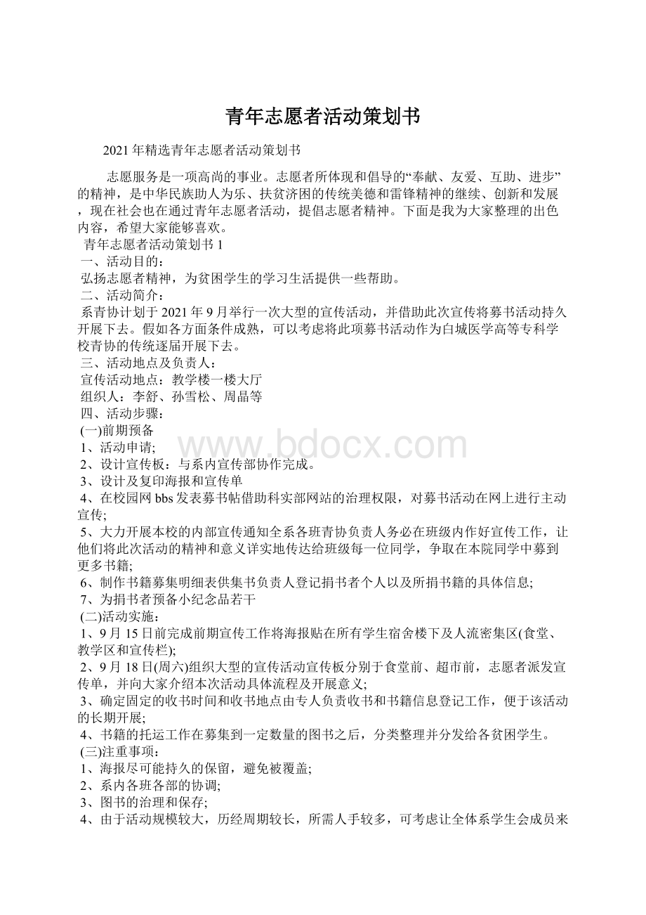 青年志愿者活动策划书Word文档下载推荐.docx