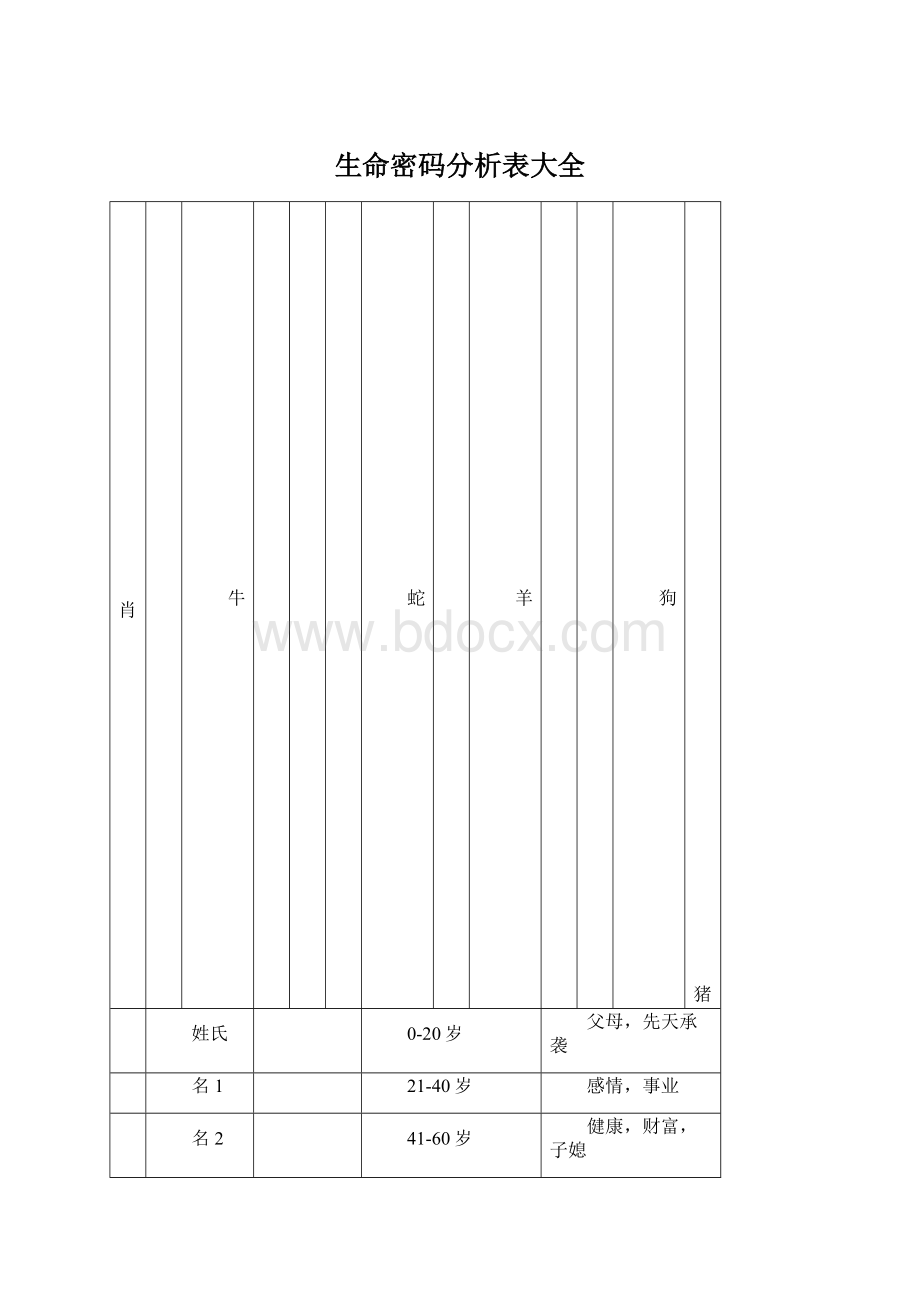 生命密码分析表大全.docx