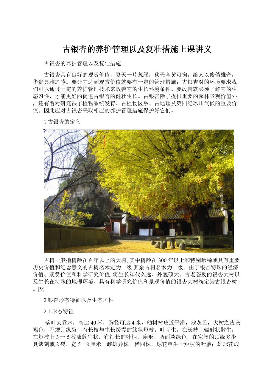 古银杏的养护管理以及复壮措施上课讲义Word文档格式.docx