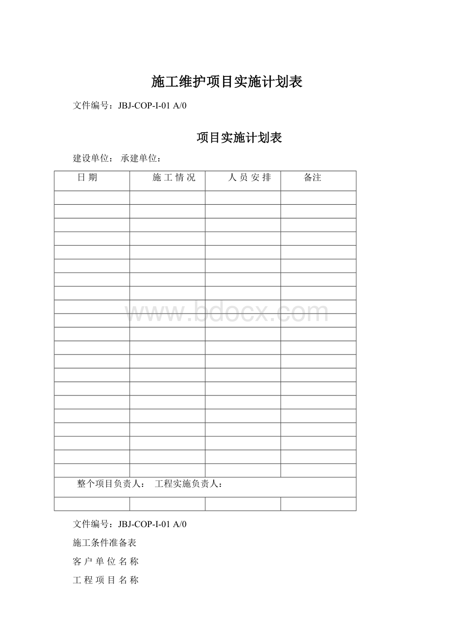 施工维护项目实施计划表.docx