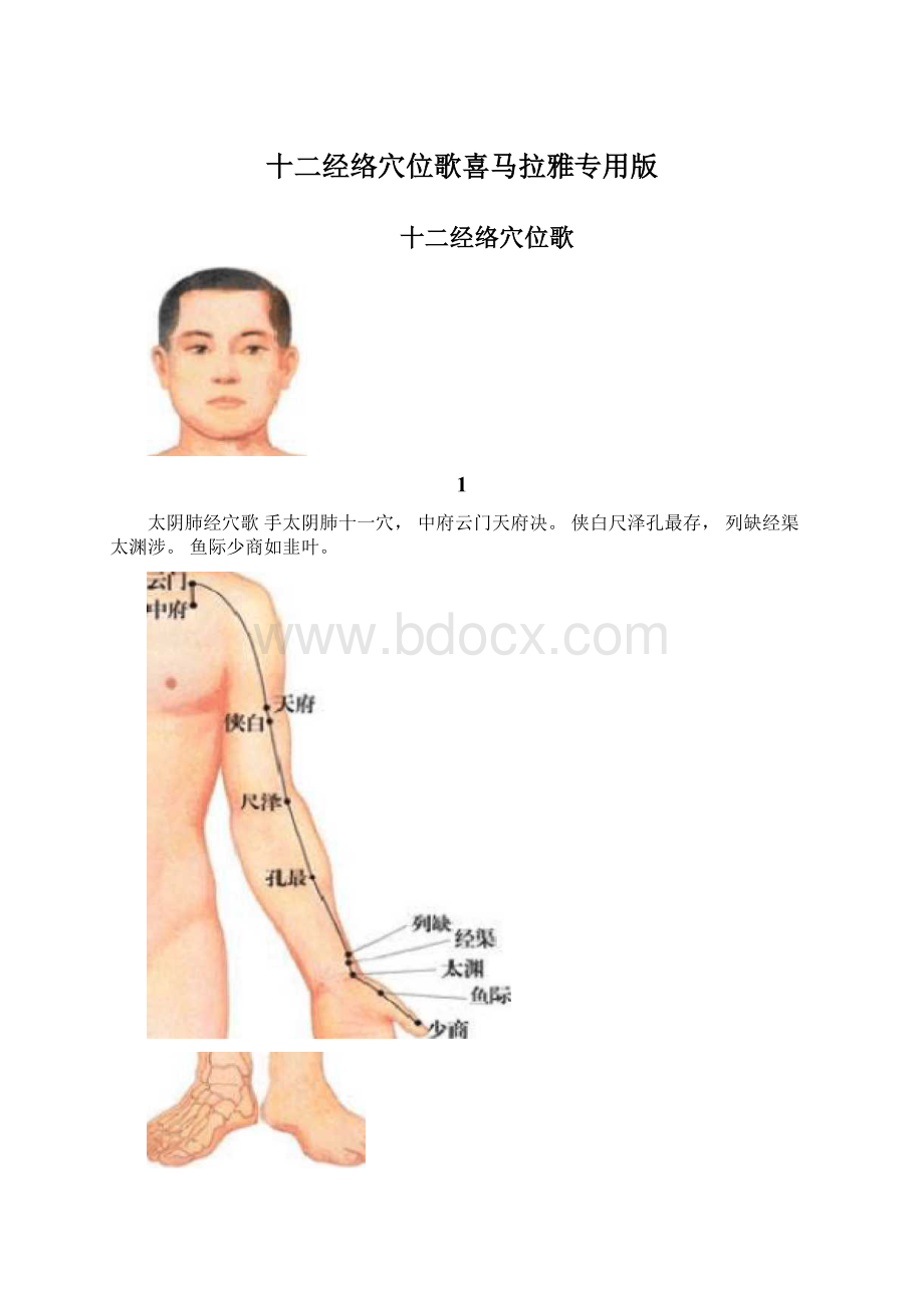 十二经络穴位歌喜马拉雅专用版.docx_第1页