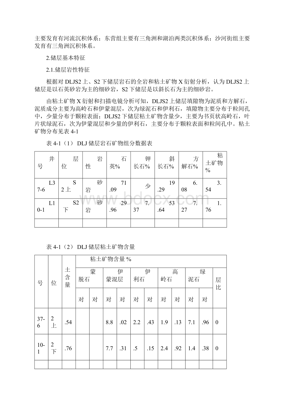 胜利油田DSJ1注水设计.docx_第2页