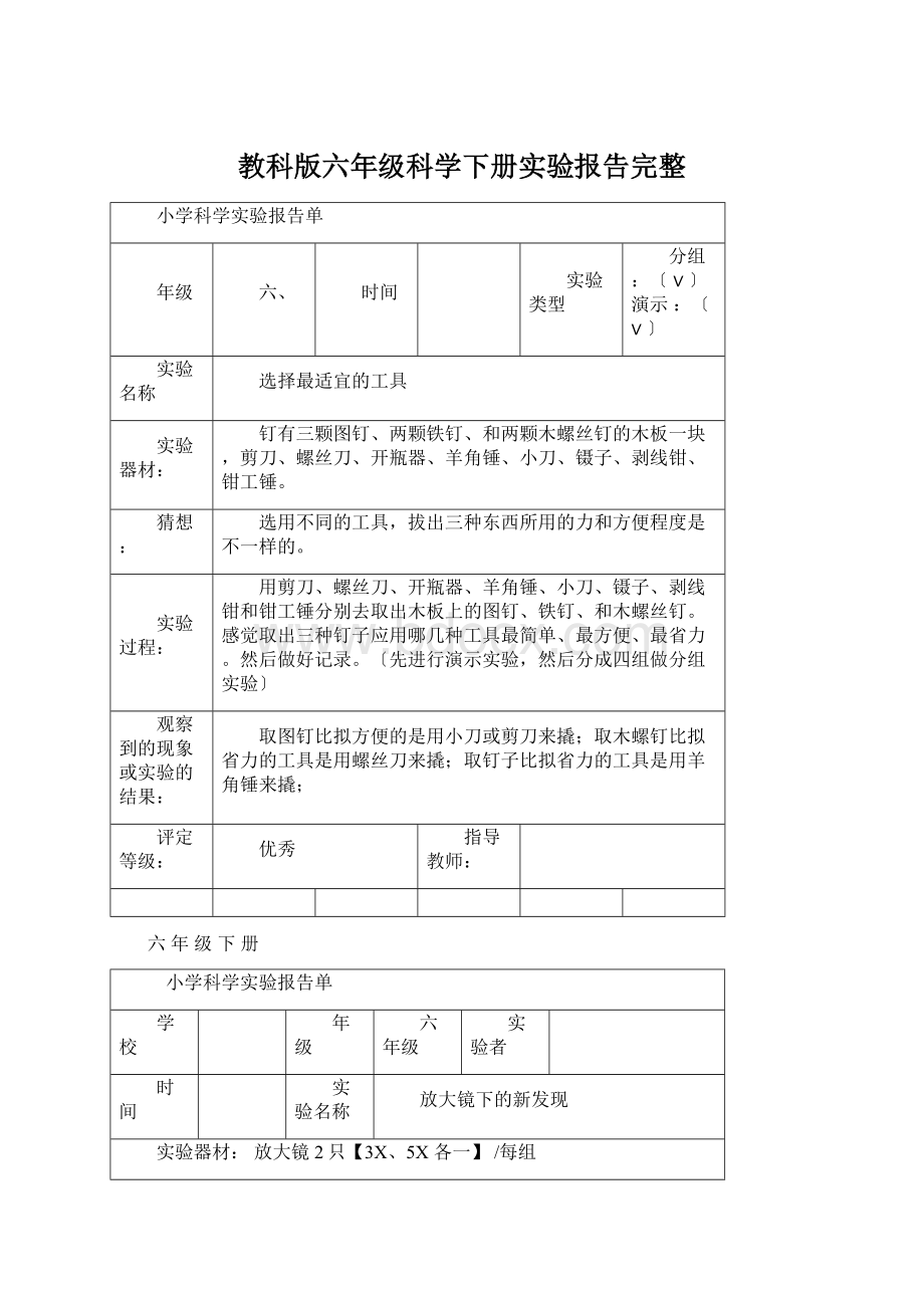 教科版六年级科学下册实验报告完整Word格式文档下载.docx