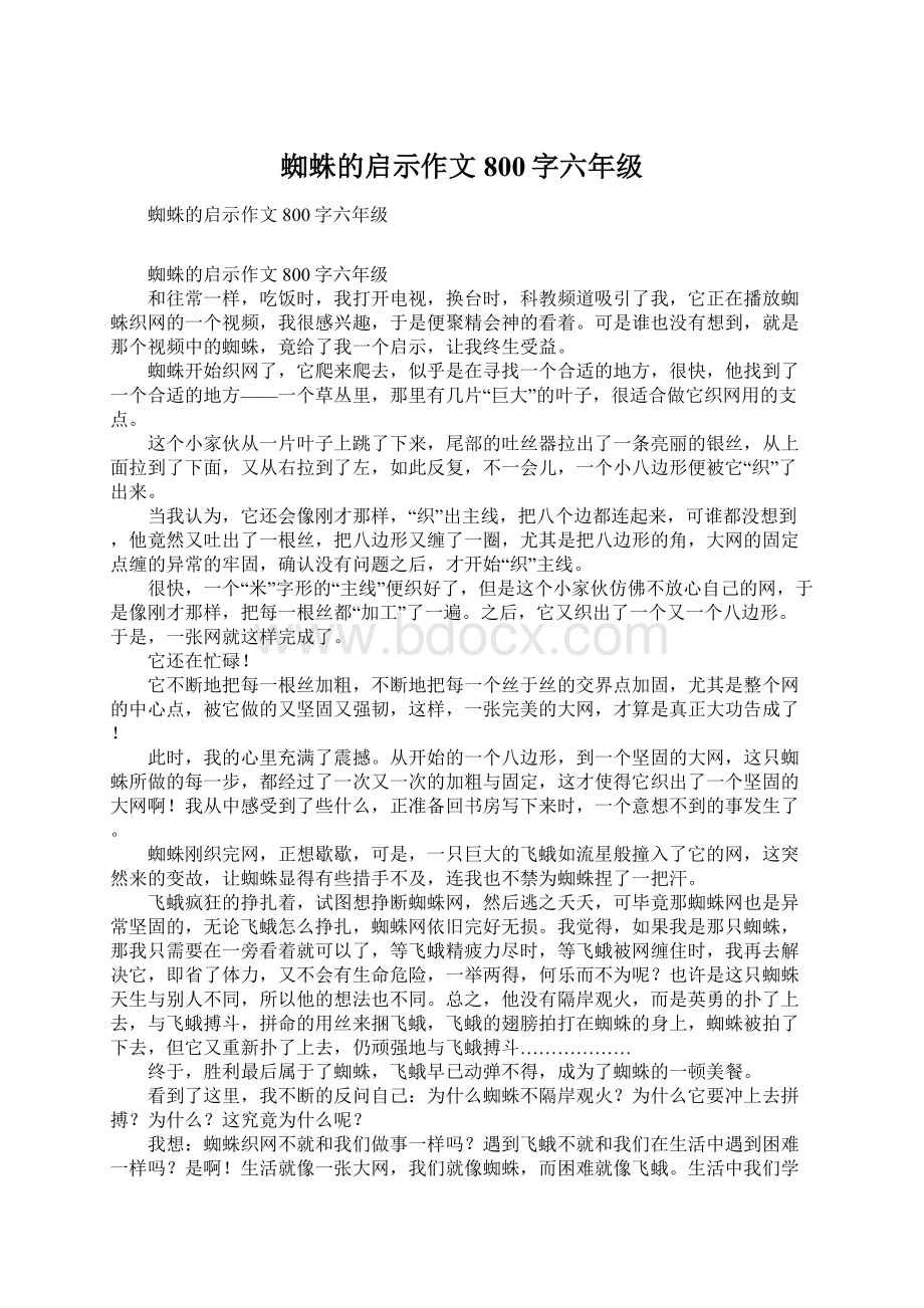 蜘蛛的启示作文800字六年级.docx_第1页