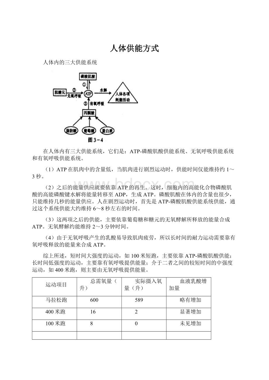 人体供能方式Word文档下载推荐.docx