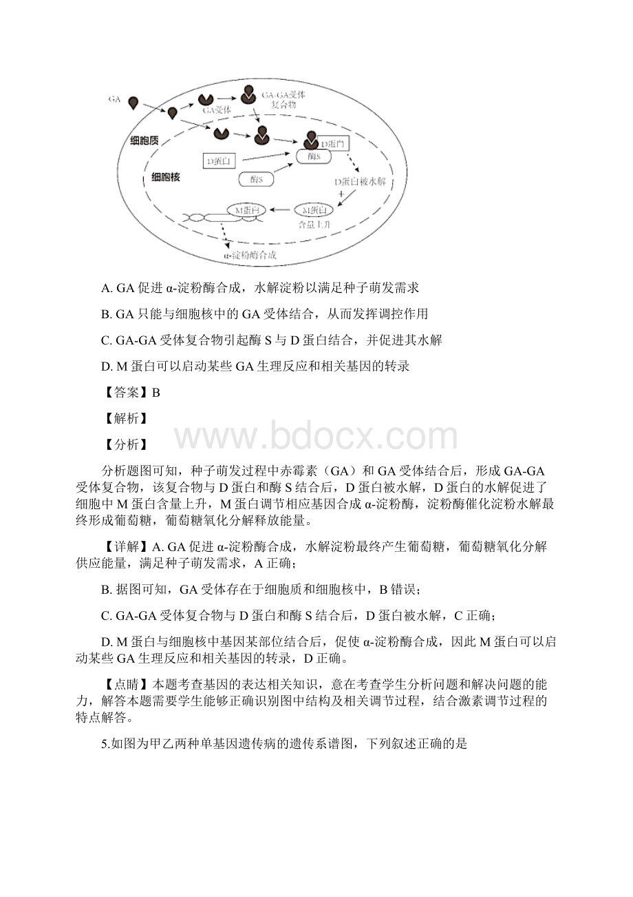 精品解析湖北省部分重点中学届高三上学期第二次联考理科综合试题生物试题精校Word版.docx_第3页