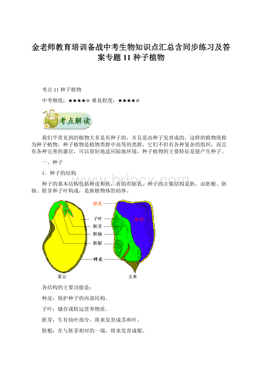 金老师教育培训备战中考生物知识点汇总含同步练习及答案专题11 种子植物.docx_第1页