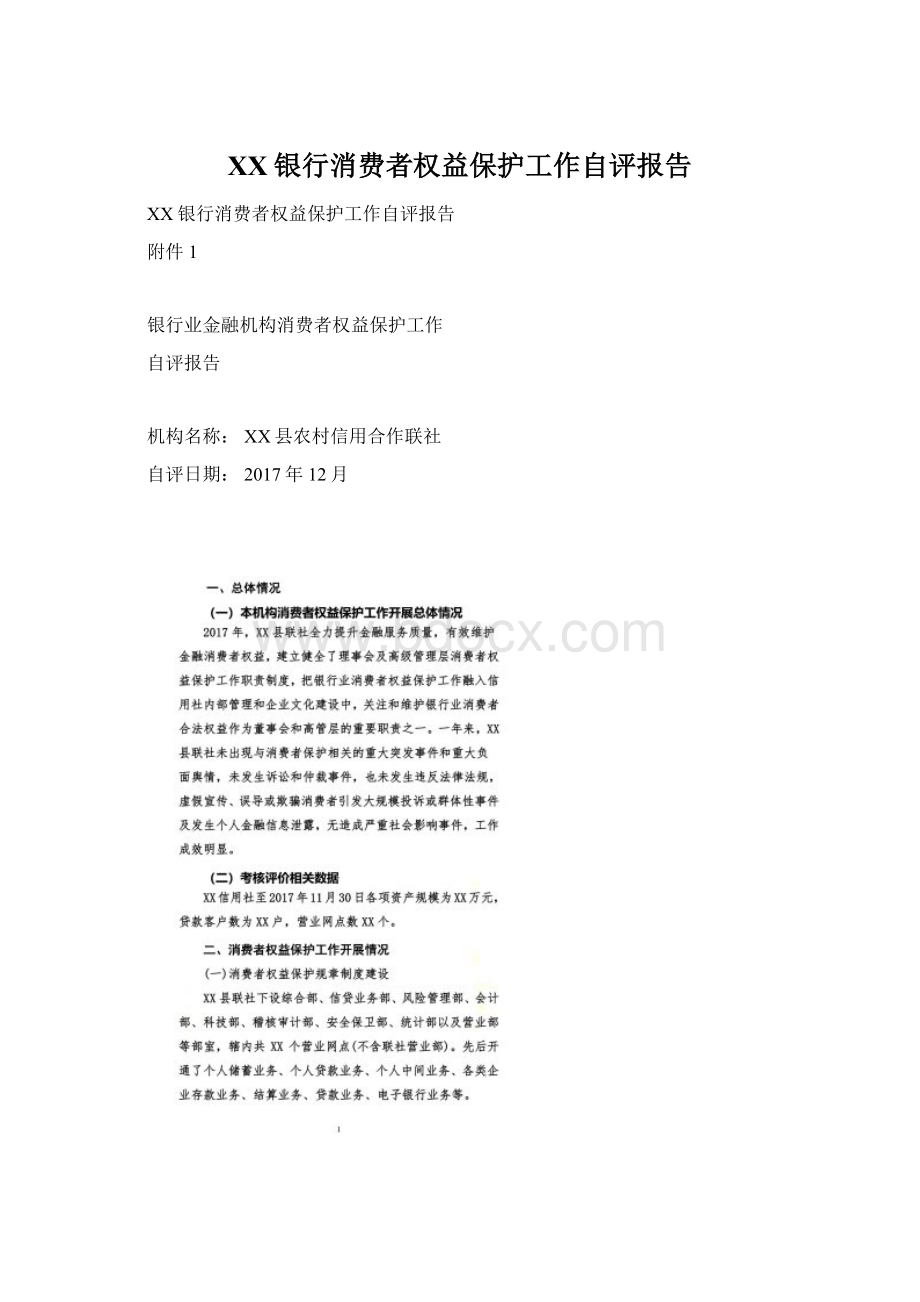 XX银行消费者权益保护工作自评报告Word文档下载推荐.docx