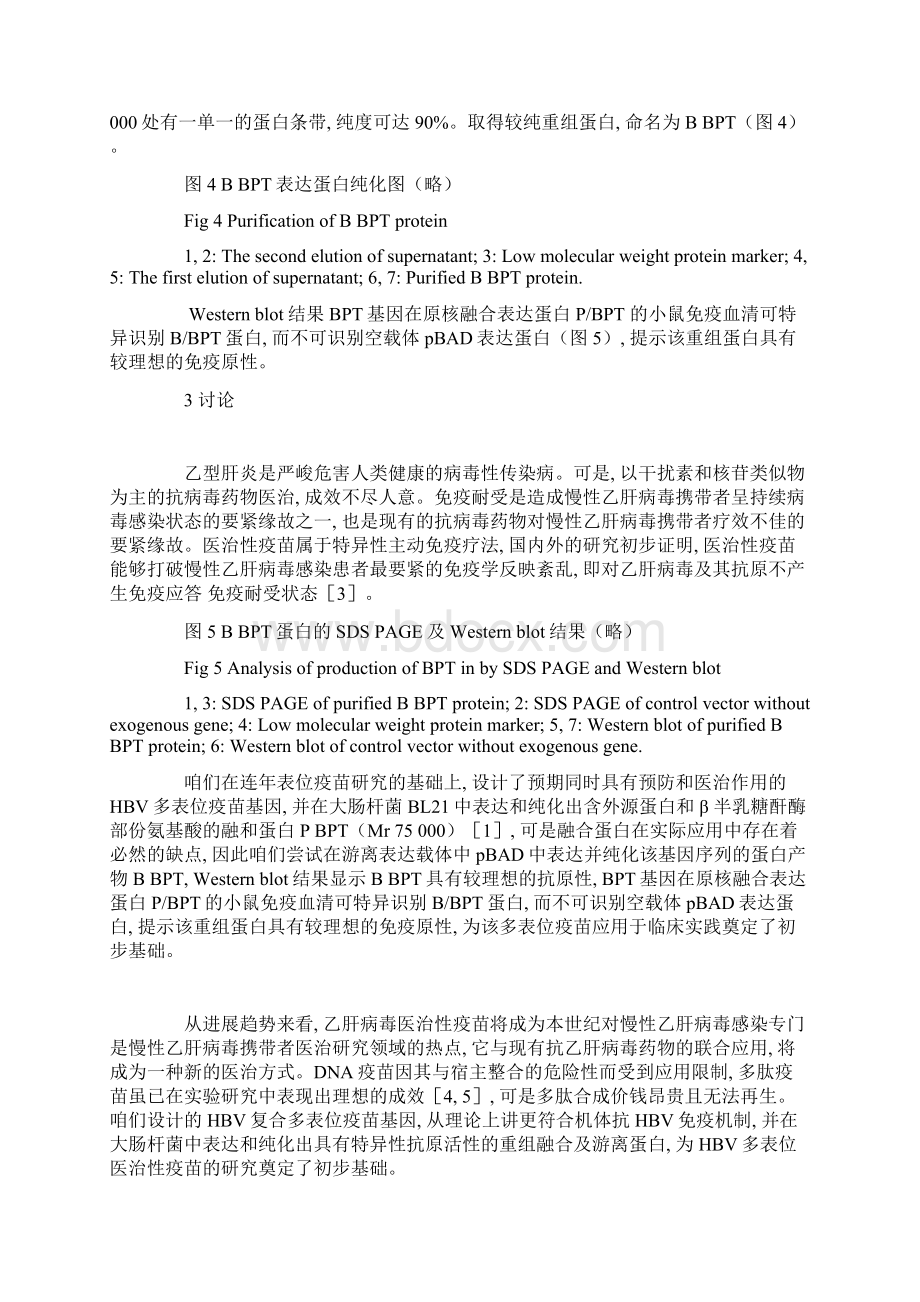 乙肝多表位抗原基因非融合表达载体的构建和表达.docx_第3页