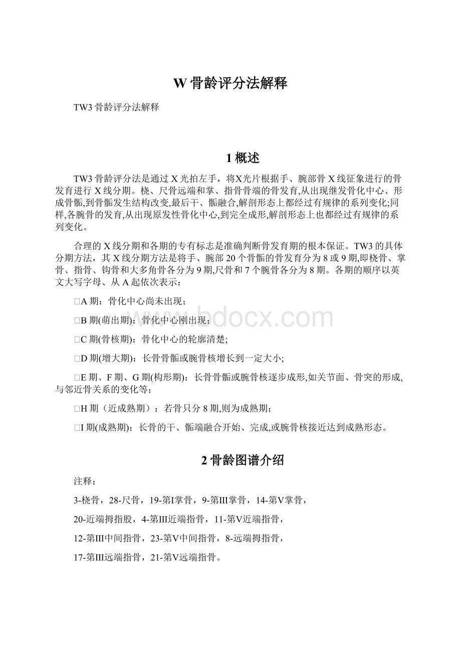 W骨龄评分法解释Word格式文档下载.docx