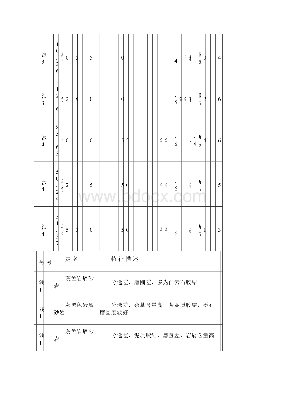 岩石薄片格式.docx_第2页