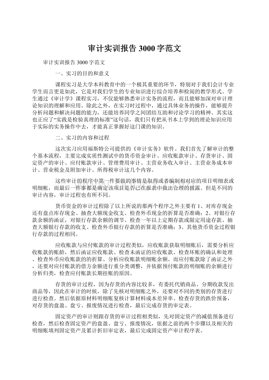 审计实训报告3000字范文.docx