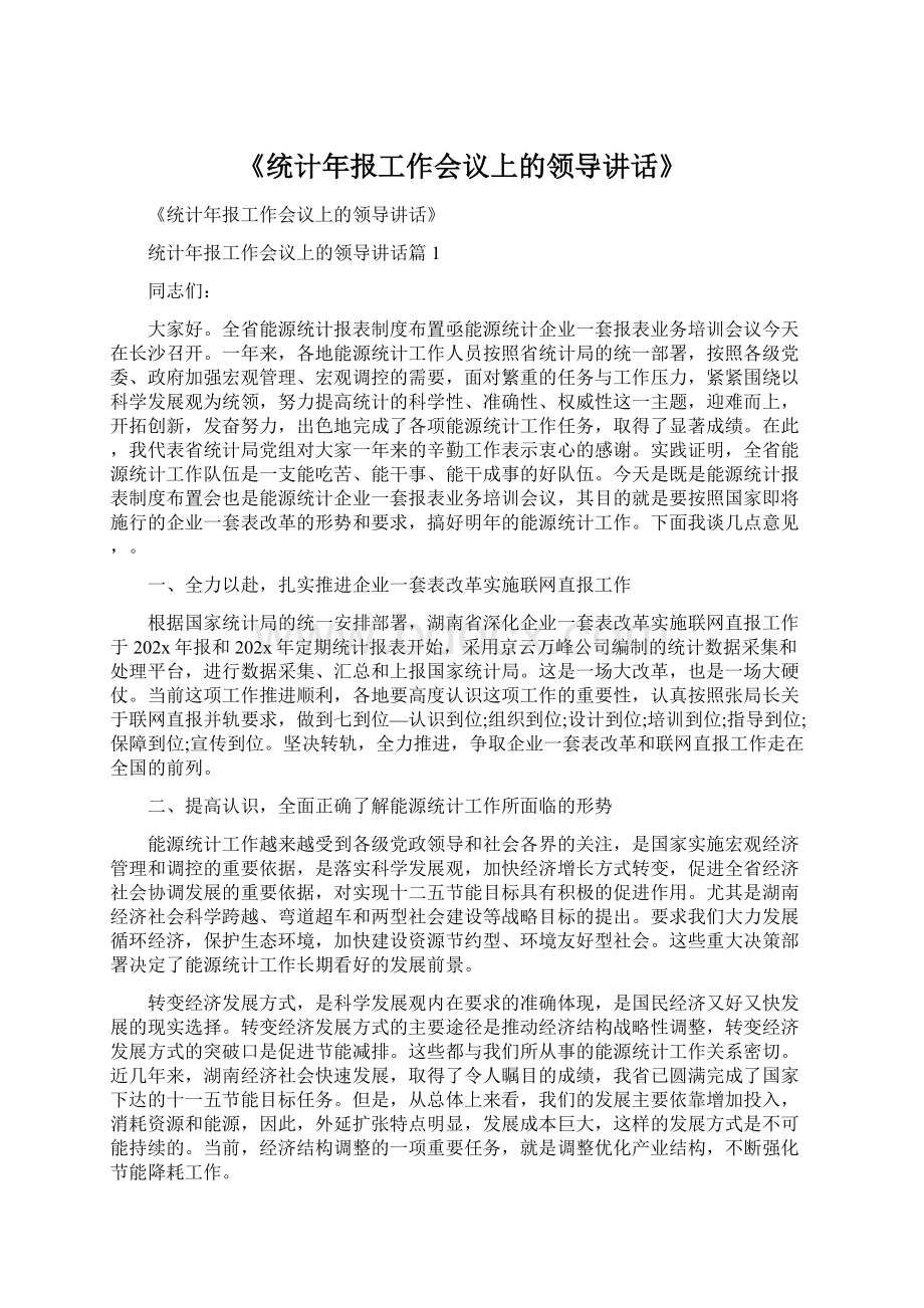 《统计年报工作会议上的领导讲话》Word文件下载.docx_第1页