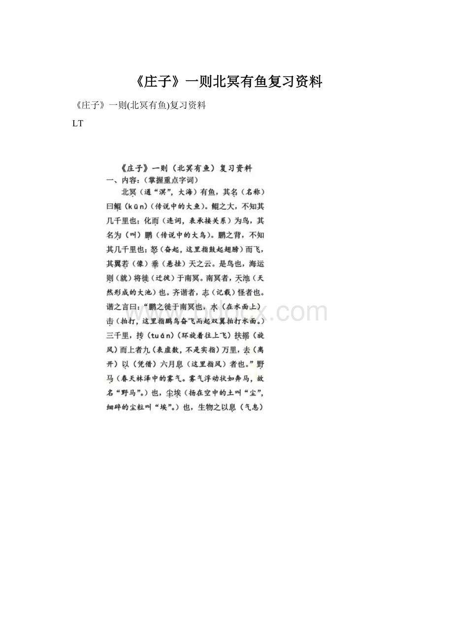 《庄子》一则北冥有鱼复习资料Word下载.docx_第1页