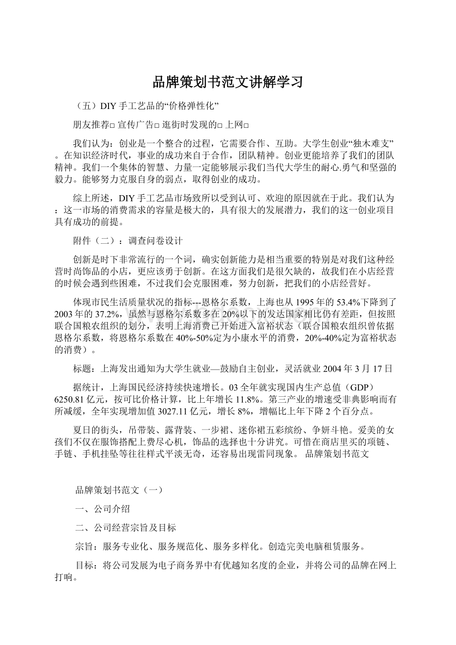 品牌策划书范文讲解学习.docx_第1页