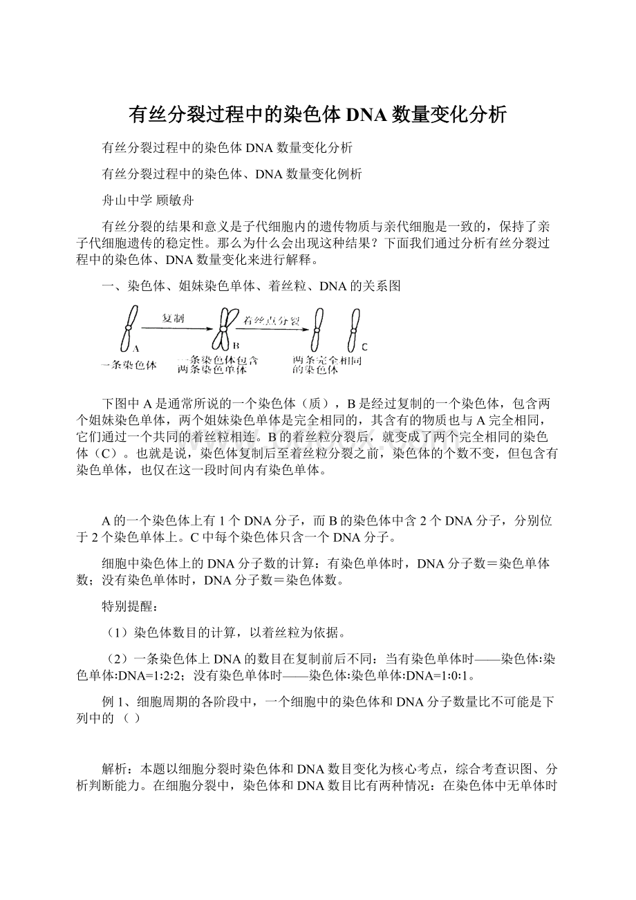 有丝分裂过程中的染色体DNA数量变化分析.docx_第1页