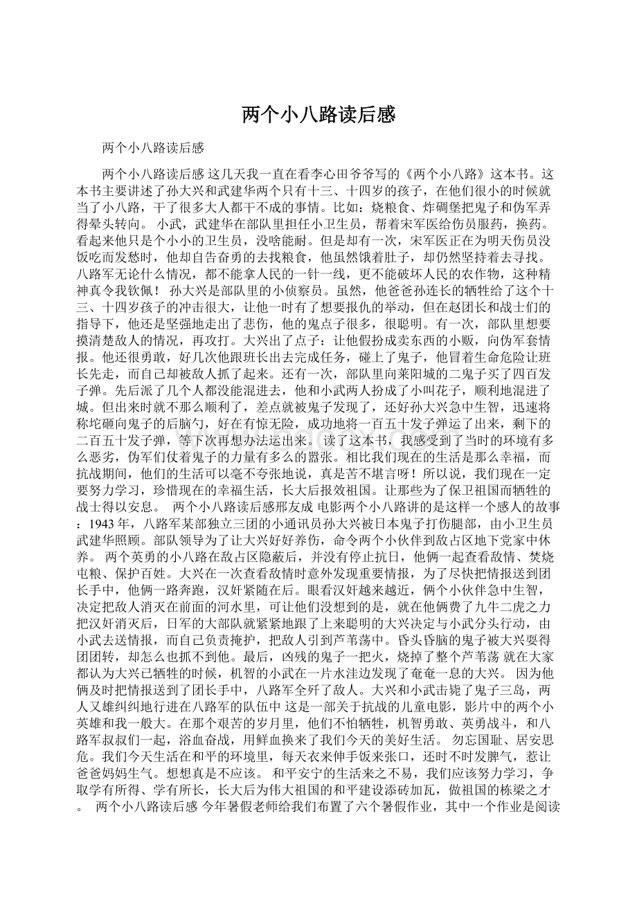 两个小八路读后感Word格式文档下载.docx