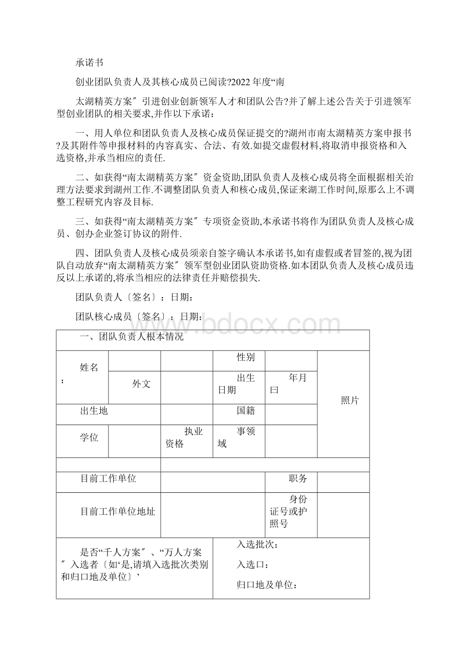 南太湖精英计划创业团队申报书文档格式.docx_第2页