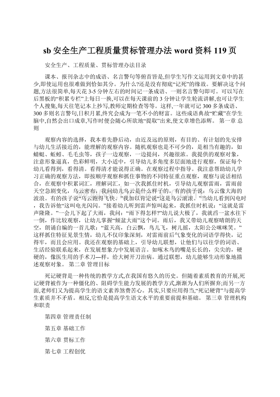 sb安全生产工程质量贯标管理办法word资料119页.docx