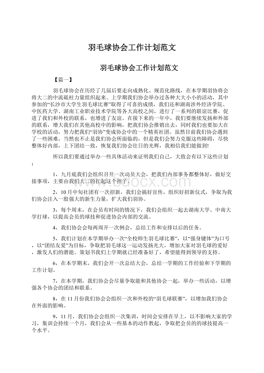 羽毛球协会工作计划范文.docx