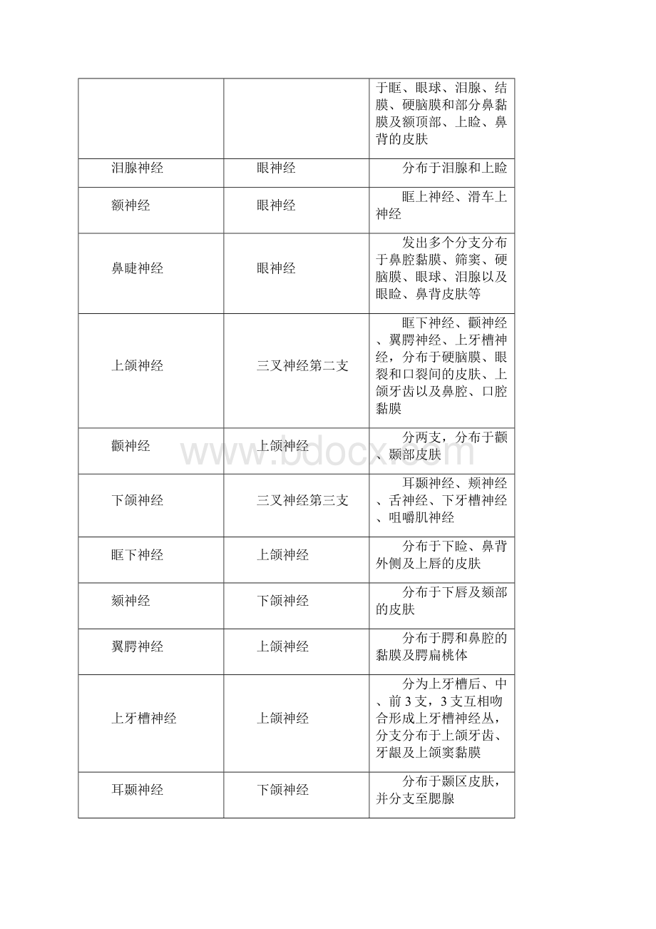 全身血管神经最全总结起止点与分布Word文档下载推荐.docx_第3页