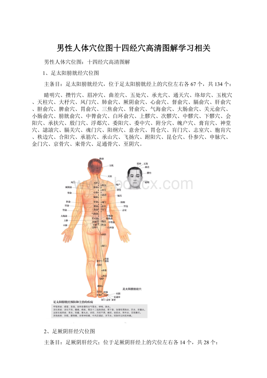 男性人体穴位图十四经穴高清图解学习相关.docx_第1页