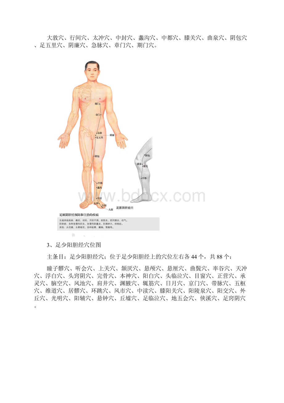 男性人体穴位图十四经穴高清图解学习相关Word格式.docx_第2页