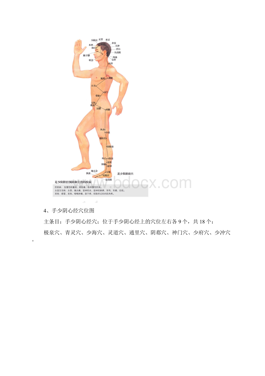 男性人体穴位图十四经穴高清图解学习相关Word格式.docx_第3页