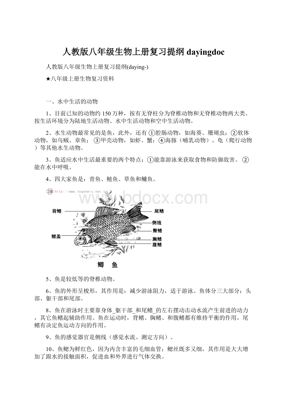 人教版八年级生物上册复习提纲dayingdocWord文档格式.docx_第1页