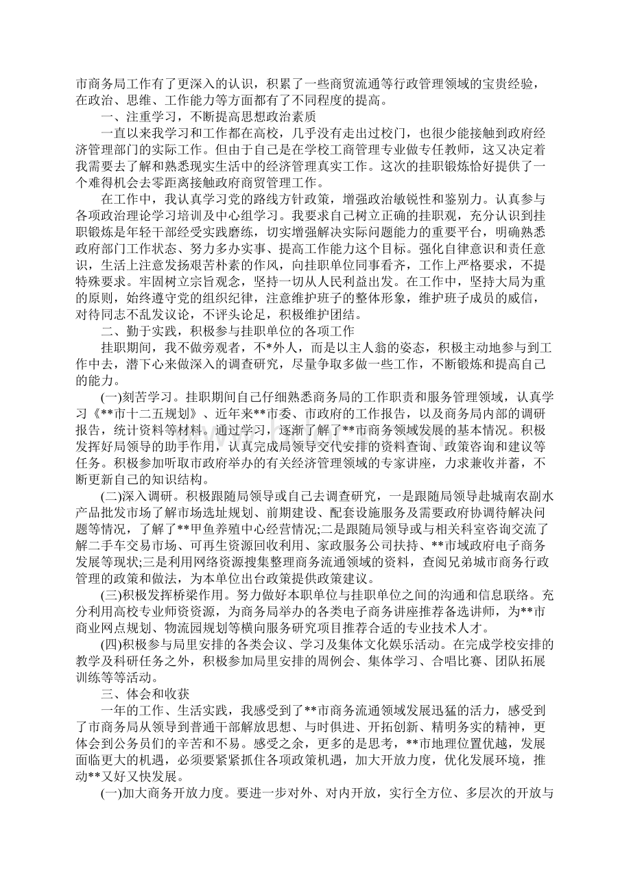 挂职锻炼工作总结最新版.docx_第3页