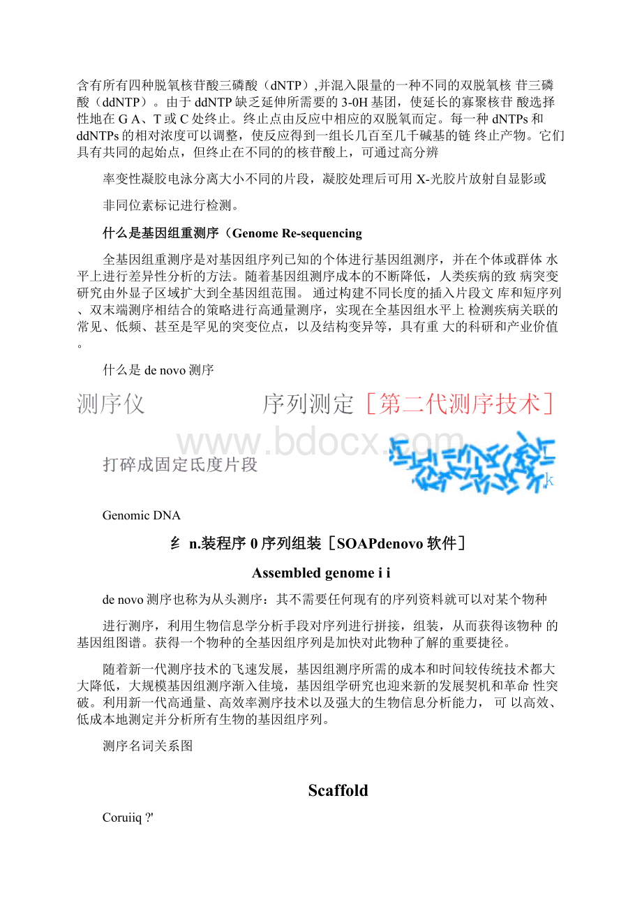 测序常用名词解释整理.docx_第2页