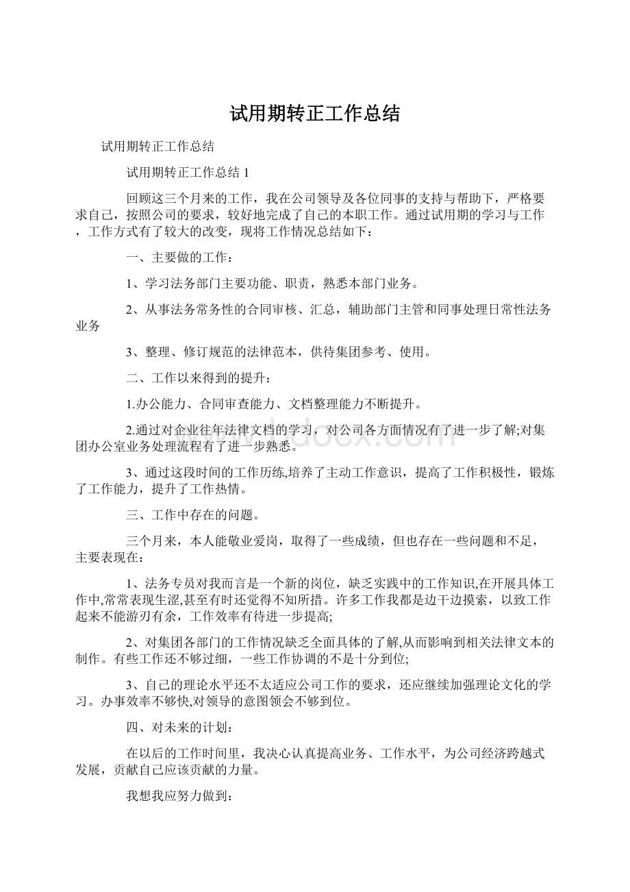 试用期转正工作总结Word格式文档下载.docx